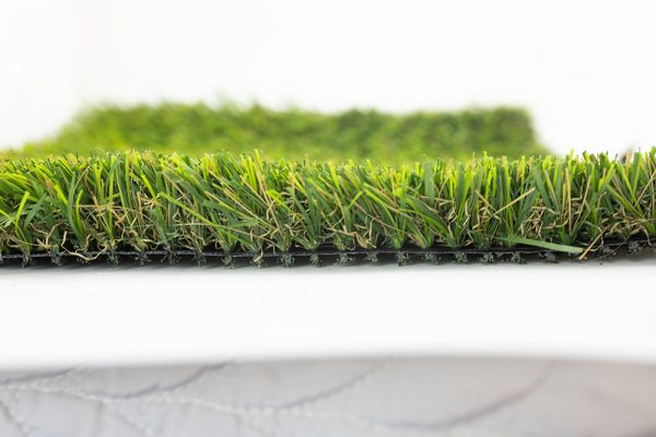 Sunshine Domar Landscape Turf