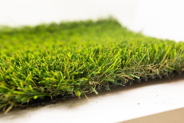 Sunshine Domar Landscape Turf - Image 4