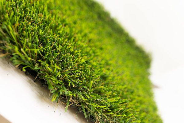 Sunshine Domar Landscape Turf - Image 2