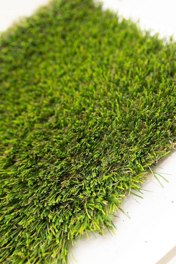 Sunshine Domar Landscape Turf - Image 5