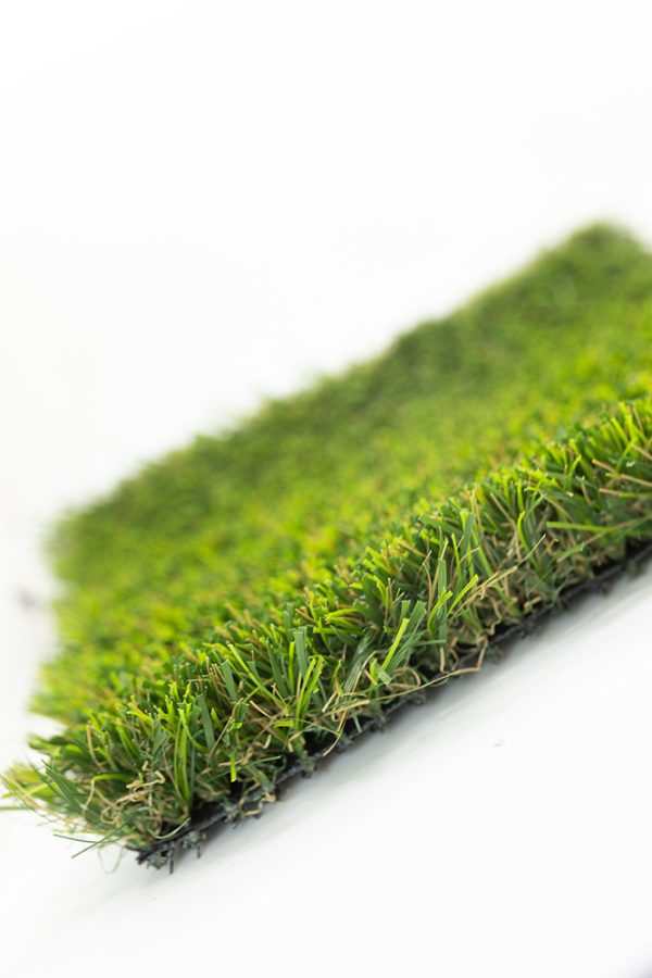 Sunshine Domar Landscape Turf - Image 6